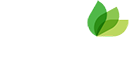 SEED20 an Initiative of Social Venture Partners